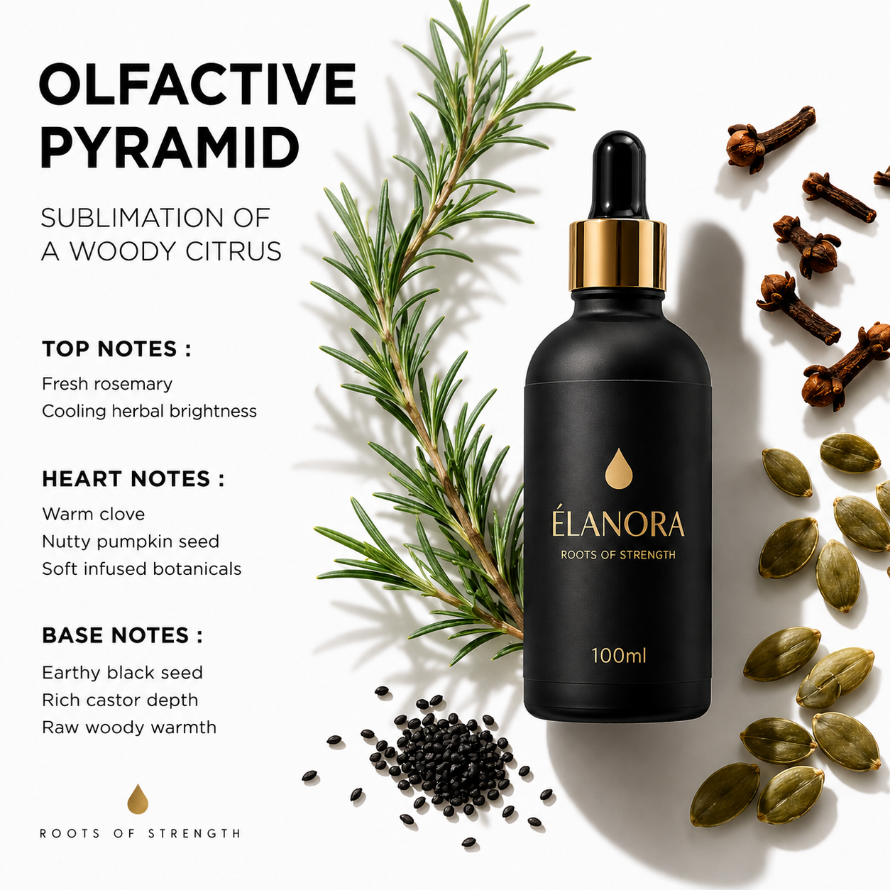 Élanora Hair Oil - no buildup, no residue, balanced scalp